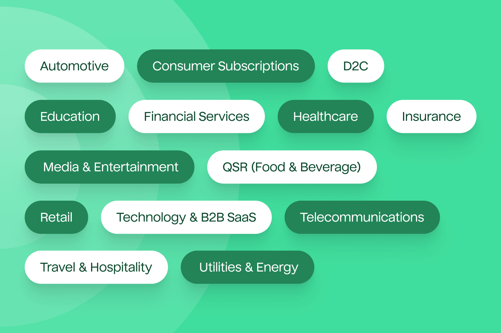 An illustration listing names of different industries: Automotive, Consumer Subscriptions, D2C, Education, Financial Services, Healthcare, Insurance, Media & Entertainment, QSR (Food & Beverage), Retail, Technology & B2B SaaS, Telecommunications, Travel & Hospitality, and Utilities & Energy.