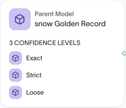 Confidence levels in Customer Studio schema